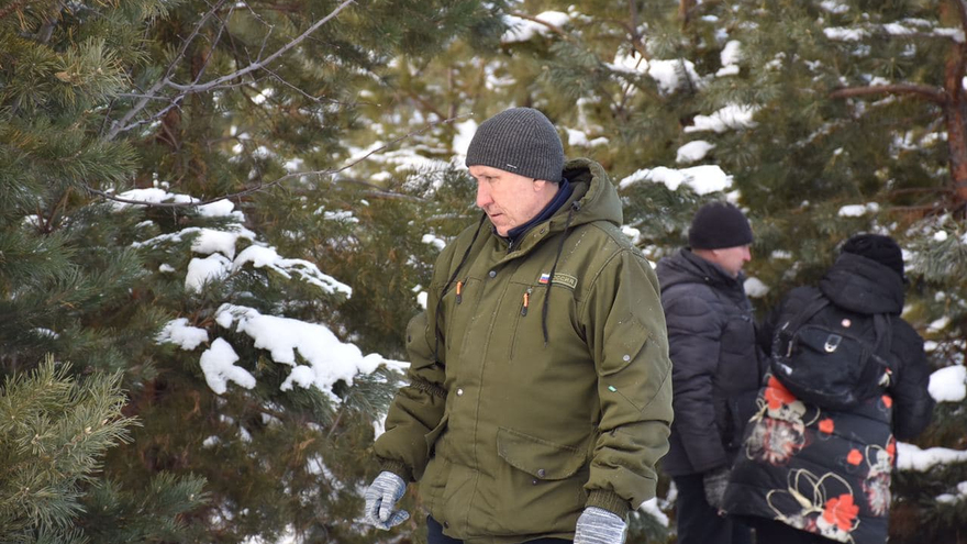 Прогрев, центрифуга, год ожидания: рассказываем, как готовят семена сосны на единственной в Саратовской области шишкосушилке