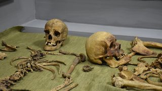 Алхимический шар, останки богатыря, кости животных: в Историческом парке открылась новая выставка
