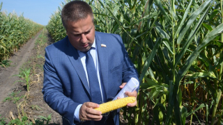 Саратовская область отправила за рубеж сельхозпродукции на 340 миллионов долларов