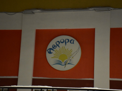 Занятие астрономией и конкурс ледяных фигур: директор Авроры рассказал, как будут занимать детей
