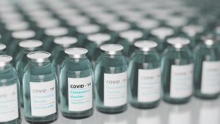 Стало известно, сколько жителей Саратовской области должны привиться от COVID-19 для формирования коллективного иммунитета