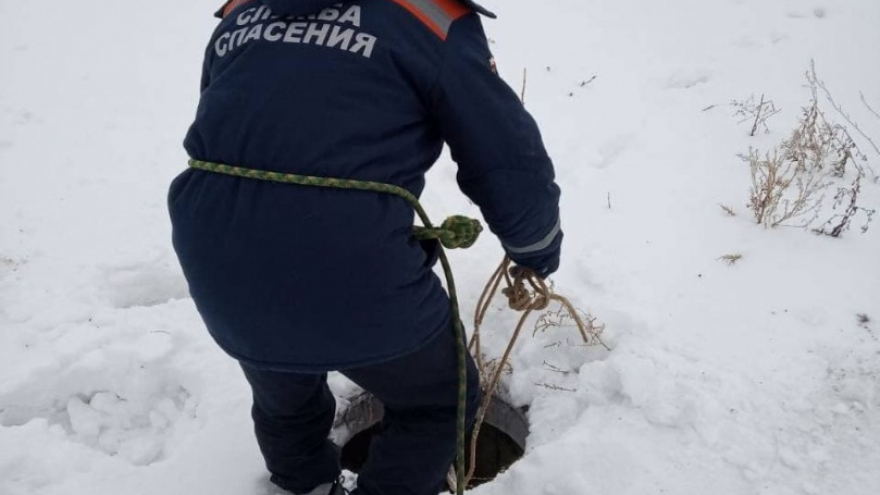 Собака провалилась в колодец: животному вызвали спасателей