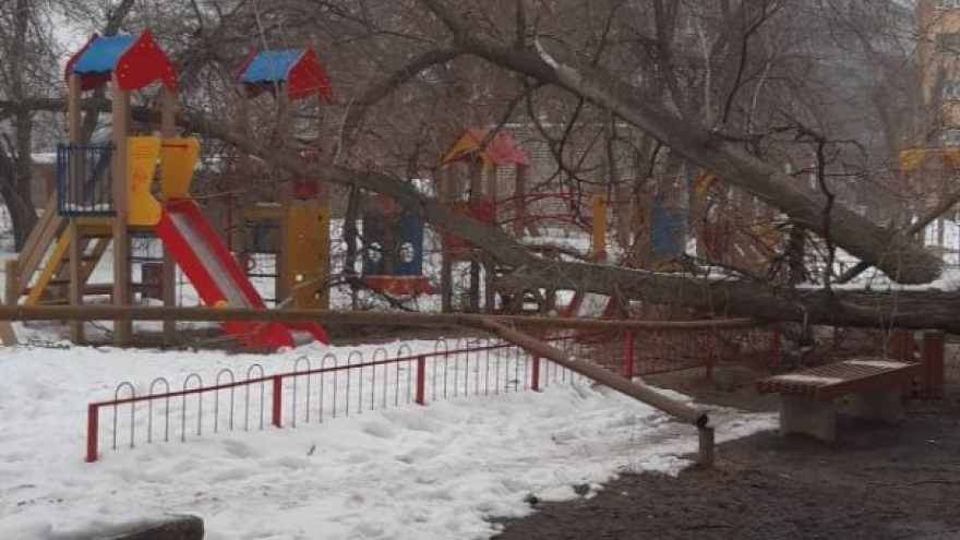 Очевидцы: в Ленинском районе дерево рухнуло на детскую площадку и сломало газовую трубу