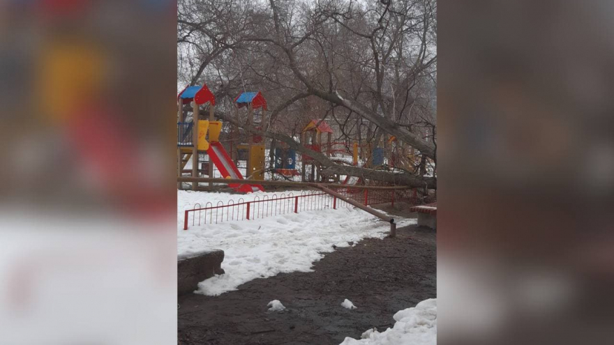 Очевидцы: в Ленинском районе дерево рухнуло на детскую площадку и сломало газовую трубу