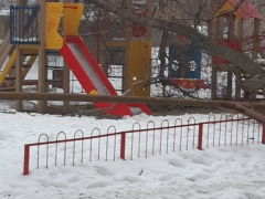 Очевидцы: в Ленинском районе дерево рухнуло на детскую площадку и сломало газовую трубу