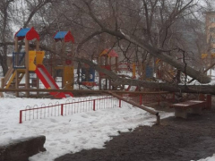 Очевидцы: в Ленинском районе дерево рухнуло на детскую площадку и сломало газовую трубу