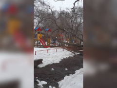 Очевидцы: в Ленинском районе дерево рухнуло на детскую площадку и сломало газовую трубу