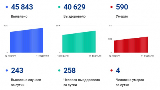 В Саратовской области от коронавирусной инфекции скончались еще 4 человека