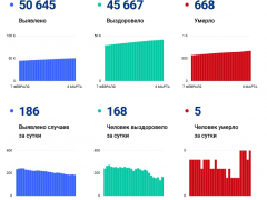 В Саратовской области жертвами коронавируса стали еще пять пациентов