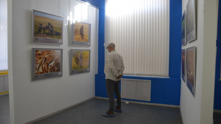 В Саратове открыли фотовыставку о дикой природе от National Geographic
