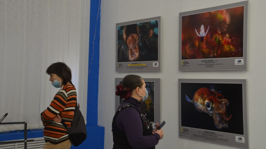 В Саратове открыли фотовыставку о дикой природе от National Geographic