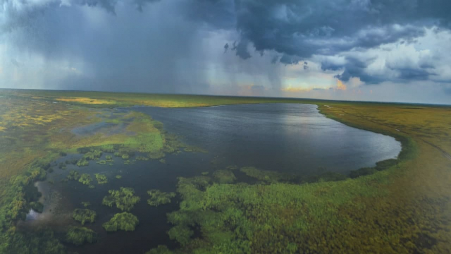 В Саратове открыли фотовыставку о дикой природе от National Geographic