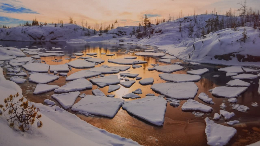 В Саратове открыли фотовыставку о дикой природе от National Geographic