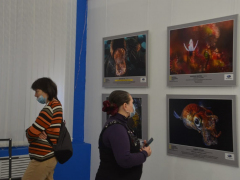 В Саратове открыли фотовыставку о дикой природе от National Geographic