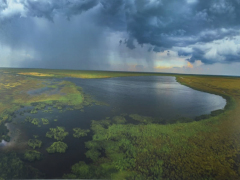 В Саратове открыли фотовыставку о дикой природе от National Geographic
