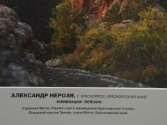 В Саратове открыли фотовыставку о дикой природе от National Geographic