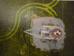 В Саратове открыли фотовыставку о дикой природе от National Geographic