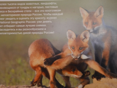 В Саратове открыли фотовыставку о дикой природе от National Geographic