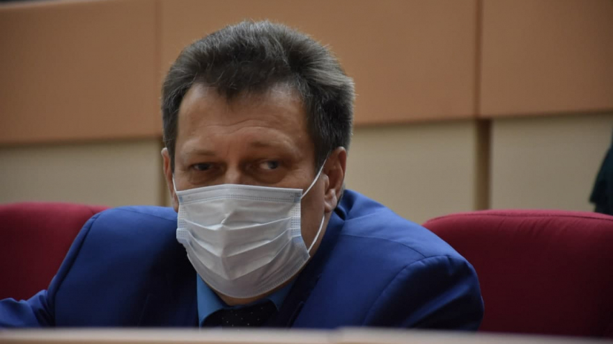 Они грызут наших женщин!: депутат возмутился из-за нехватки в бюджете денег на решение проблемы бродячих собак