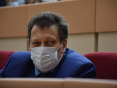 Они грызут наших женщин!: депутат возмутился из-за нехватки в бюджете денег на решение проблемы бродячих собак