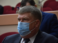 Они грызут наших женщин!: депутат возмутился из-за нехватки в бюджете денег на решение проблемы бродячих собак