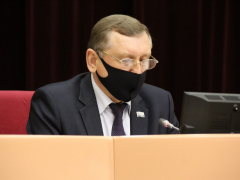 Депутаты Саратовской городской думы решили сократить собственную численность