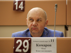 Депутаты Саратовской городской думы решили сократить собственную численность