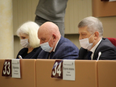 Депутаты Саратовской городской думы решили сократить собственную численность