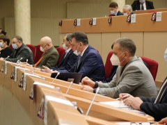 Депутаты Саратовской городской думы решили сократить собственную численность