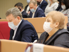 Депутаты Саратовской городской думы решили сократить собственную численность