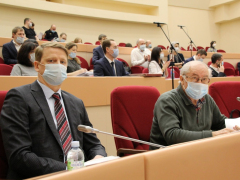 Депутаты Саратовской городской думы решили сократить собственную численность