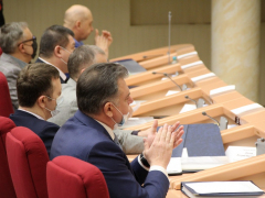 Депутаты Саратовской городской думы решили сократить собственную численность