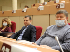 Депутаты Саратовской городской думы решили сократить собственную численность