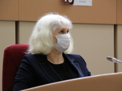 Депутаты Саратовской городской думы решили сократить собственную численность