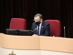 Депутаты Саратовской городской думы решили сократить собственную численность