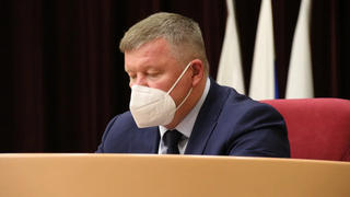 Нападение собаки на девочку у Горпарка: мэр Саратова потребовал решить проблему бродячих животных до конца года