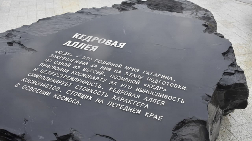 В Саратовскую область планируют пригласить Илона Маска