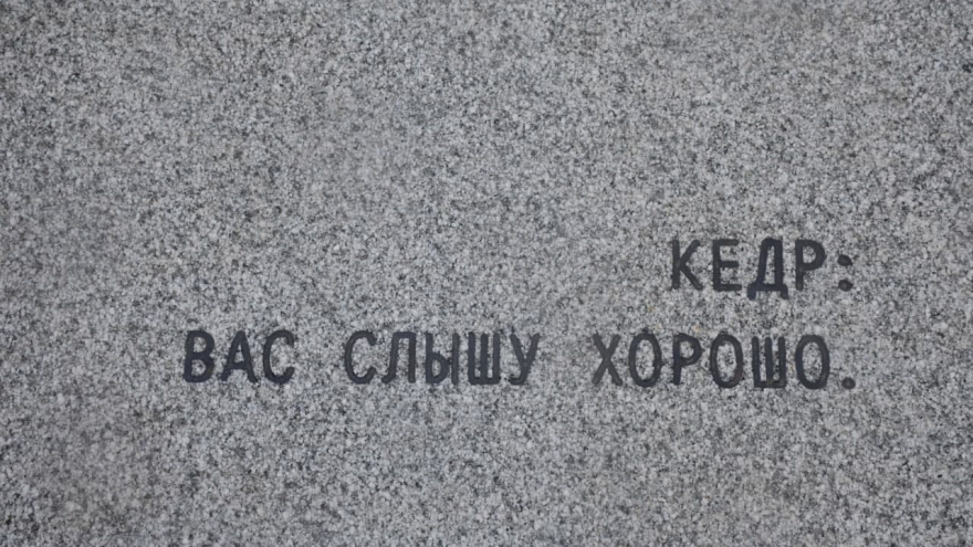 В Саратовскую область планируют пригласить Илона Маска