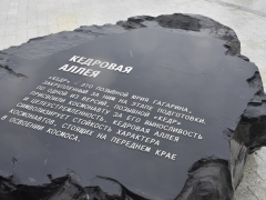 В Саратовскую область планируют пригласить Илона Маска