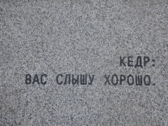В Саратовскую область планируют пригласить Илона Маска