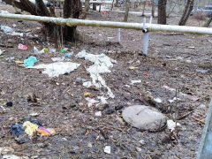 Страшный запах, здесь живут бомжи: жителей Кировского района возмутила свалка возле детской площадки