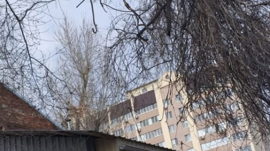 Администрация ждет, пока кто-то умрет?: саратовец предупредил об опасном дереве на  Посадского