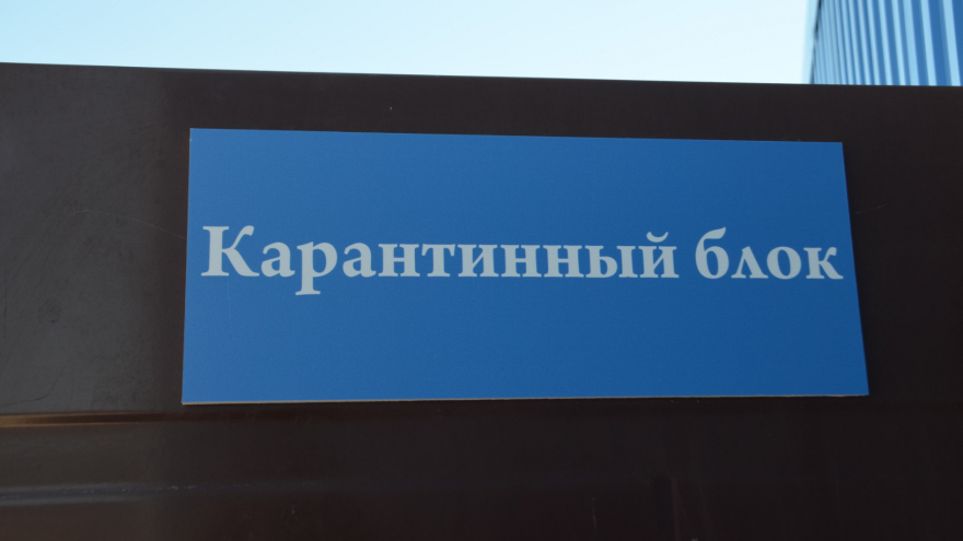 Два муниципальных образования Саратовской области отправили на карантин из-за бешеных кошки и собаки