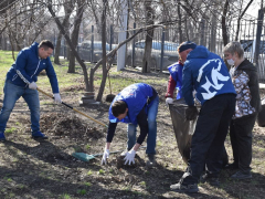 В саратовском сквере Дружбы народов навели порядок