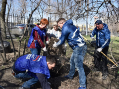 В саратовском сквере Дружбы народов навели порядок