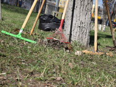В саратовском сквере Дружбы народов навели порядок
