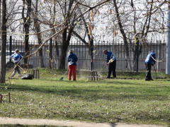 В саратовском сквере Дружбы народов навели порядок