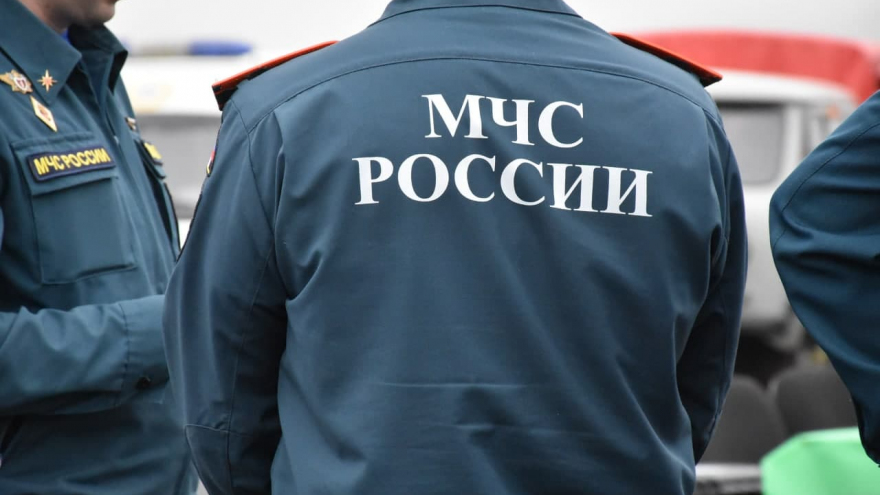 В Саратовской области вспыхнули два лесных пожара: на тушение приехали 24 огнеборца
