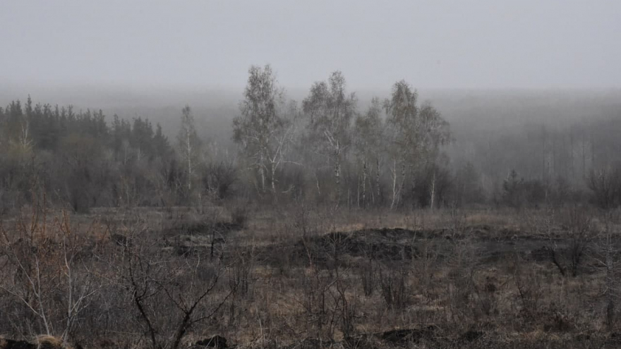 В Саратовской области вспыхнули два лесных пожара: на тушение приехали 24 огнеборца