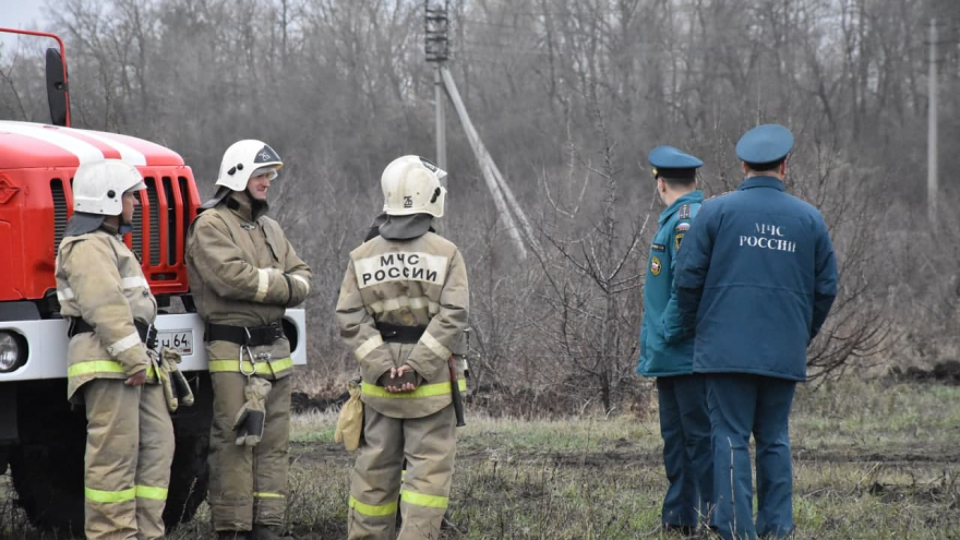 В Саратовской области вспыхнули два лесных пожара: на тушение приехали 24 огнеборца